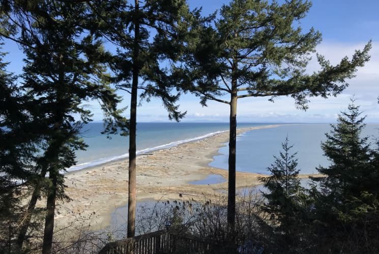 View of longest natural sand spit through evergreen trees