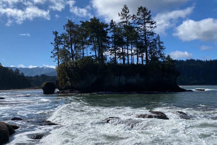 Small rock island with green trees surrounded by water