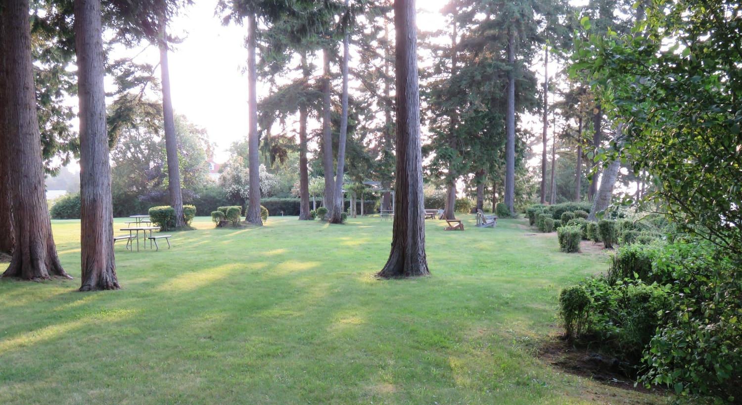 Large backyard filled with green grass, green bushes, and large trees