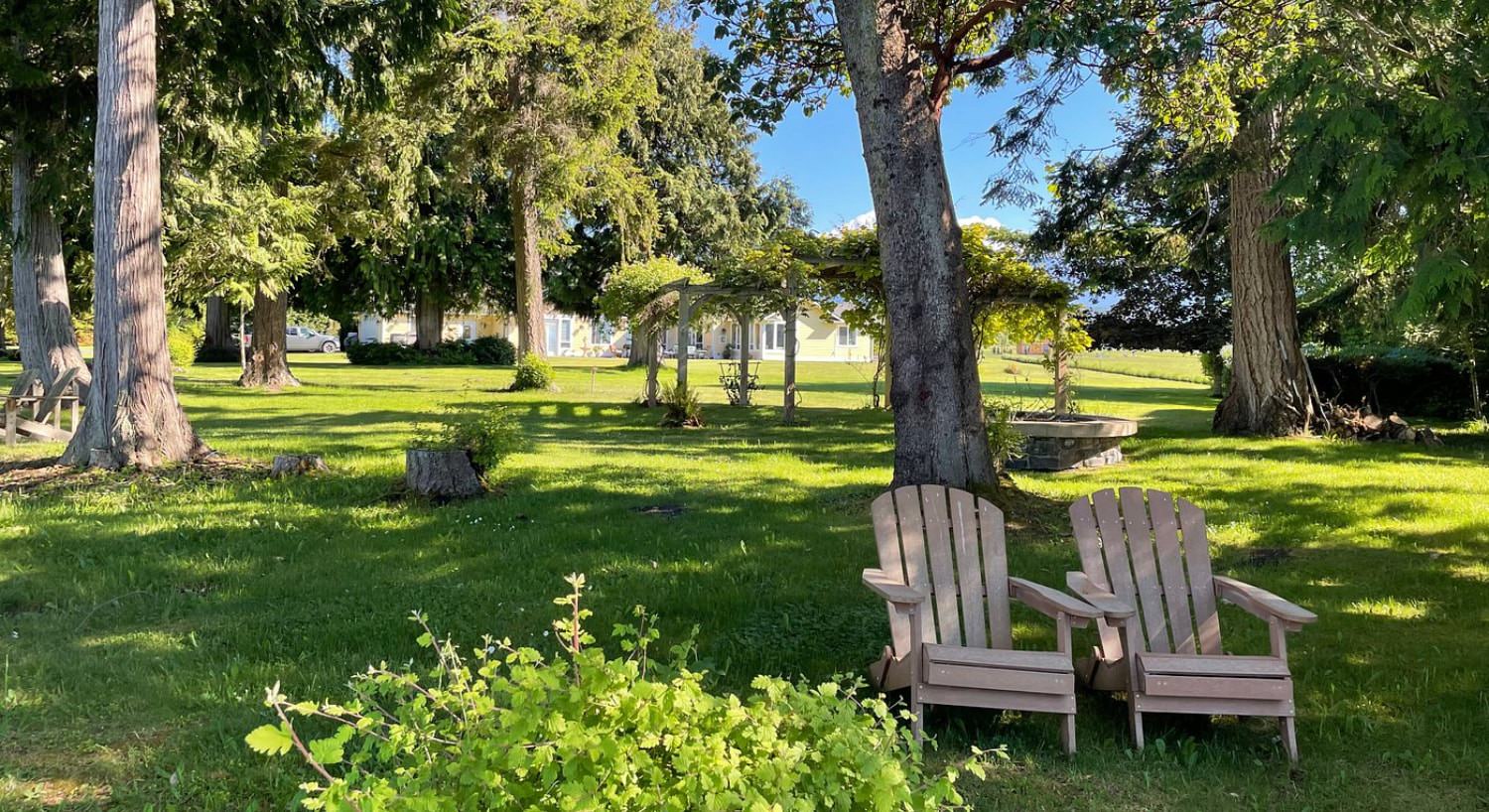 Two Adirondack chairs sitting in green grass surrounded by multiple large trees