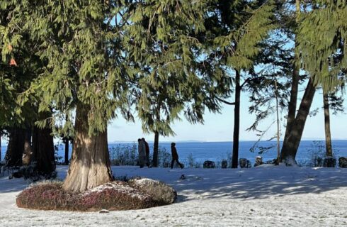 People walking in a dusting of snow next to the water under large green trees