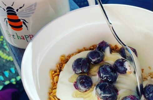 Close up view of granola, blueberries, yogurt, and honey in a white dish