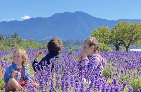 Kids eating snacks and sitting in the middle of a lavender field with a mountain in the background