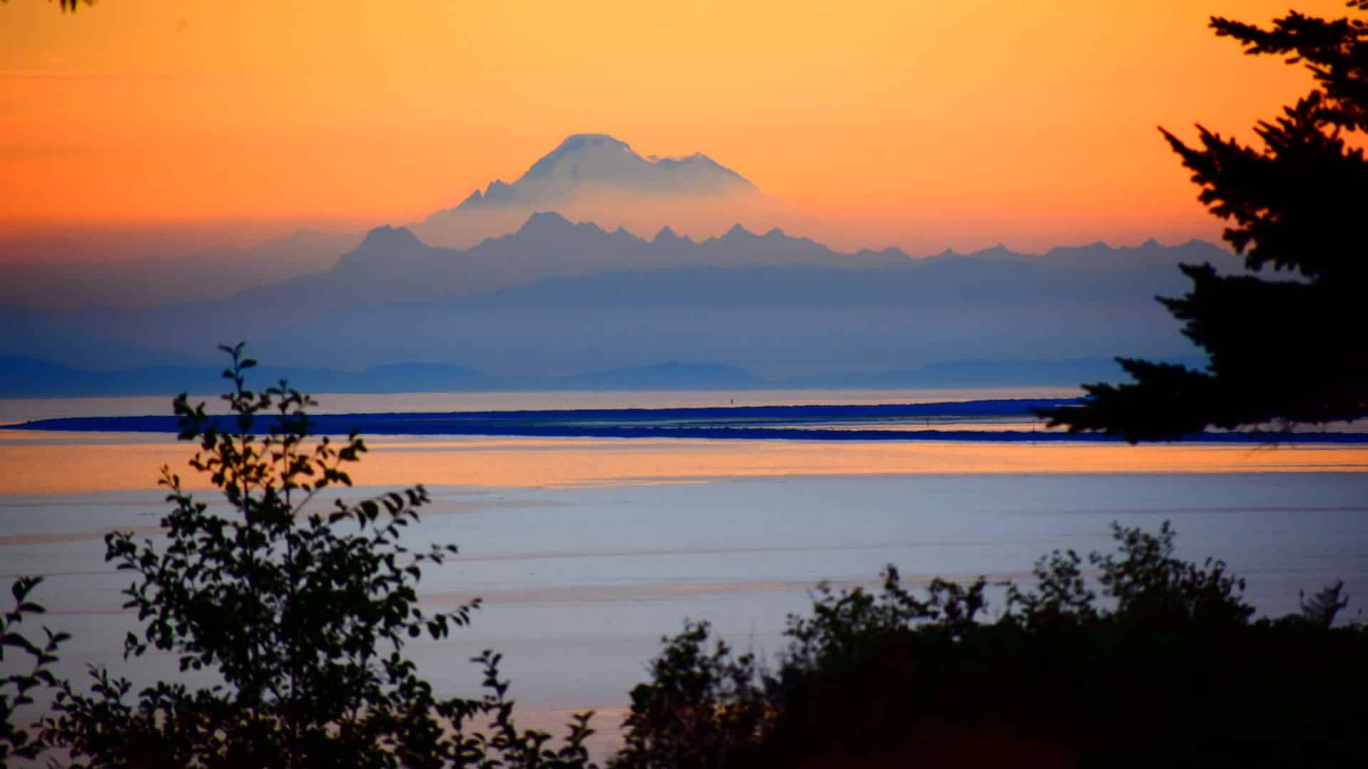 View of a snow capped mountain through trees at sunset