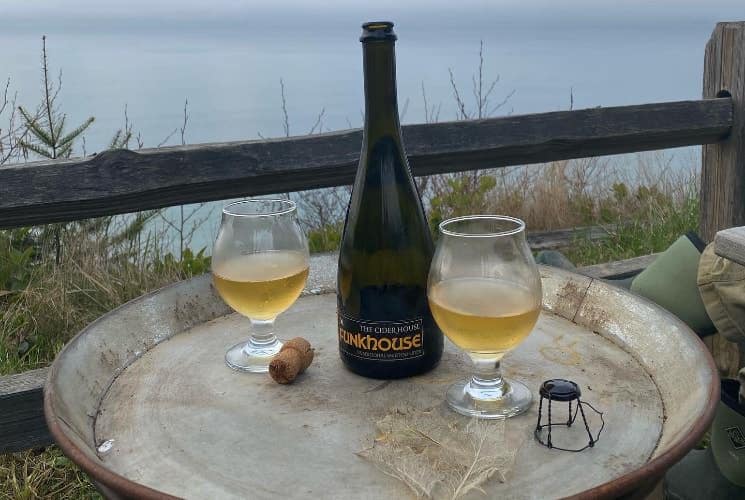 Close up view of dark bottle and two glasses filled with cider